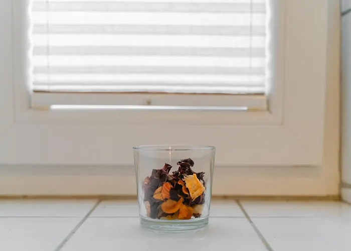 公寓 Dominika 卢布尔雅那